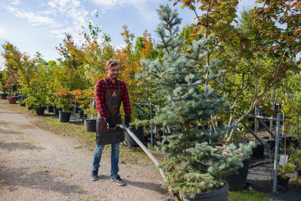 Best Mulching Services  in Casselberry, FL